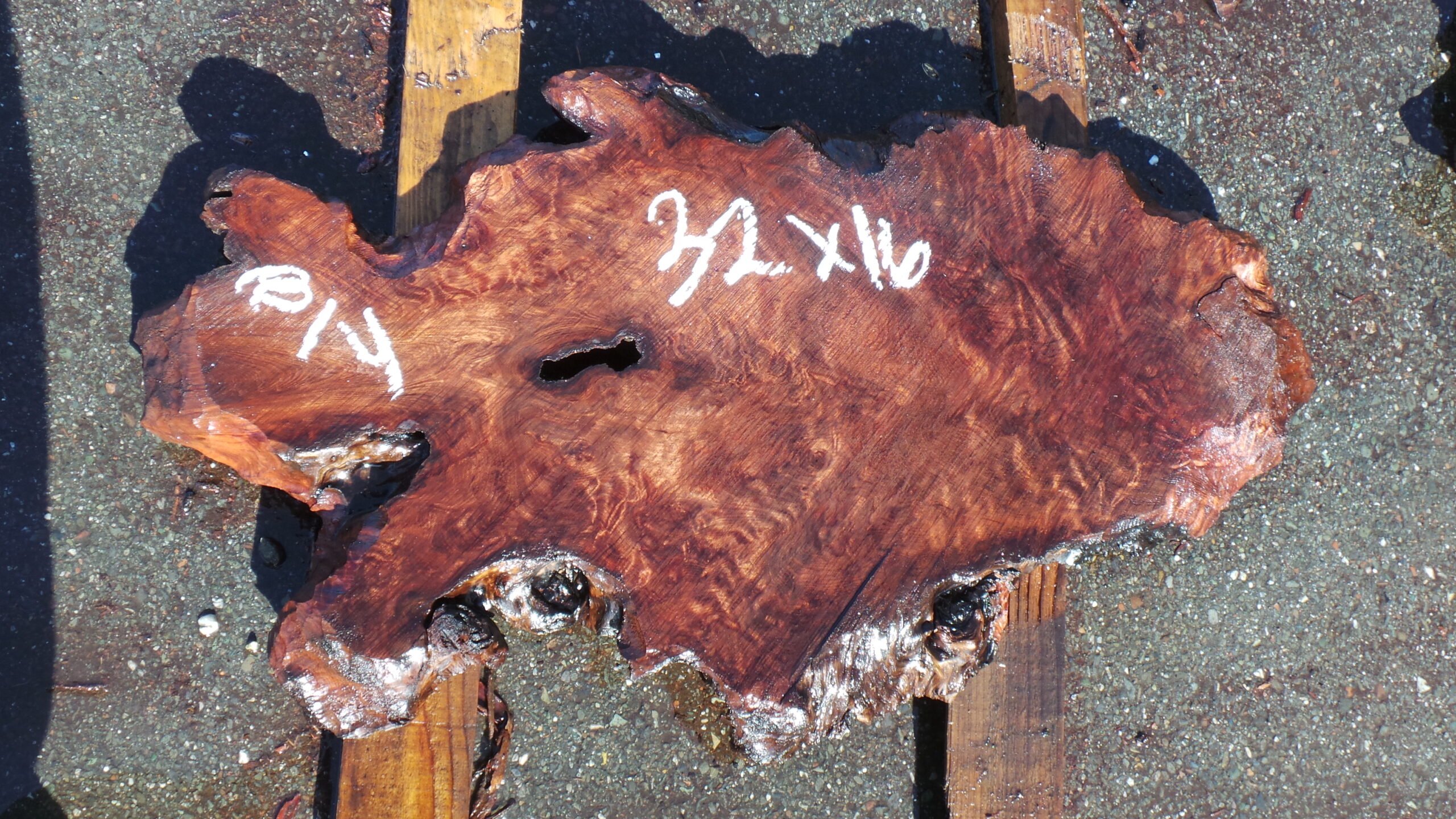 Redwood Burl slab measuring 32 inches by 16 inches and 2 inches thick.