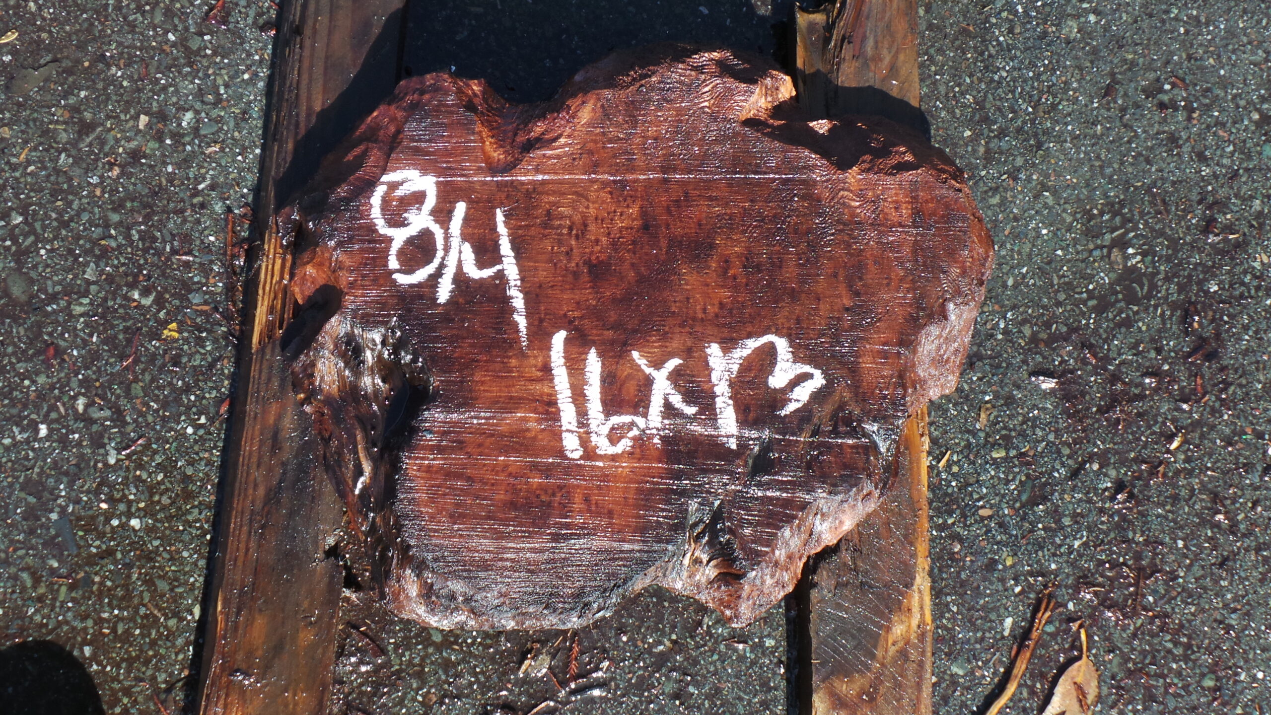 Redwood Burl slab measuring 1 inches by 13 inches and 2 inches thick.