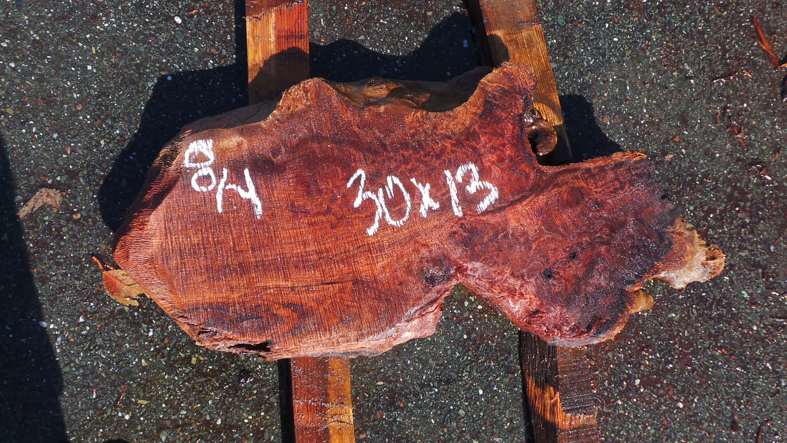 Redwood Burl slab measuring 30 inches by 13 inches and 2 inches thick.