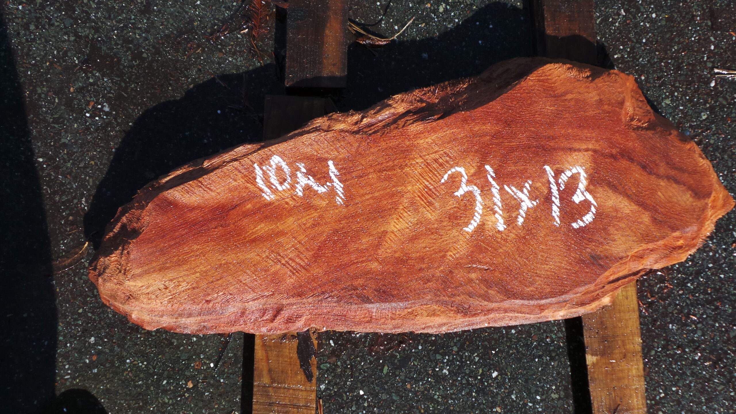 Redwood Burl slab measuring 31 inches by 13 inches and 2.5 inches thick.