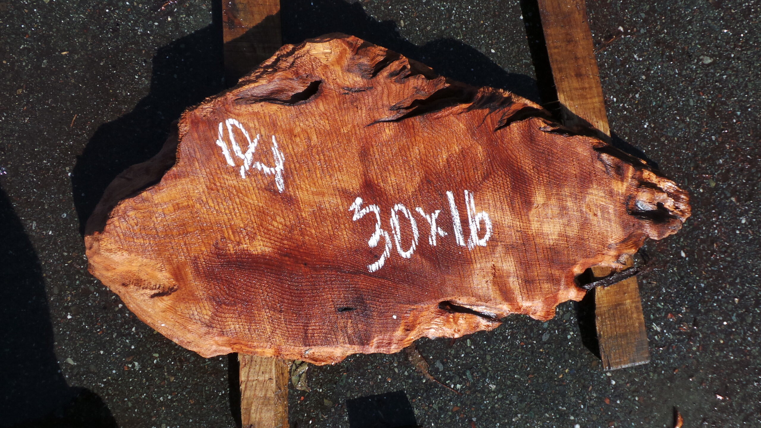 Redwood Burl slam measuring 30 inches by 16 inches and 2 and a half inched thick.