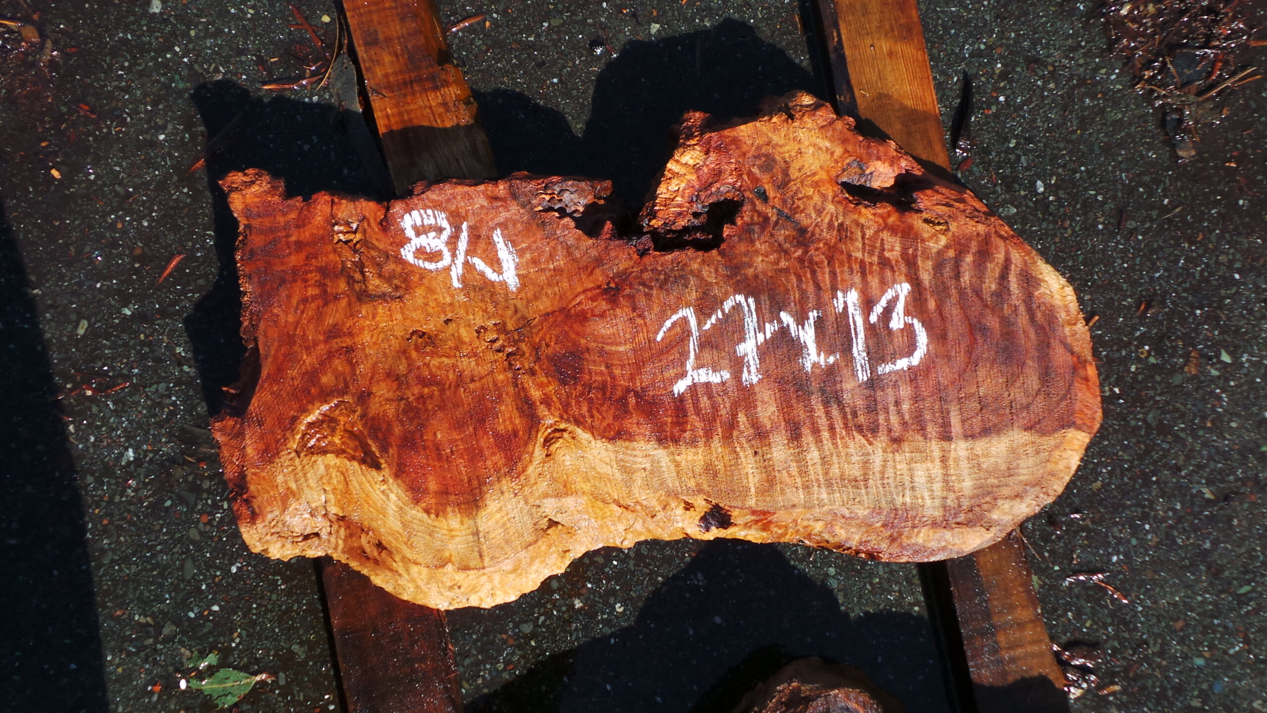 Redwood Burl slab measuring 27 inches by 13 inches and 2 inches thick.