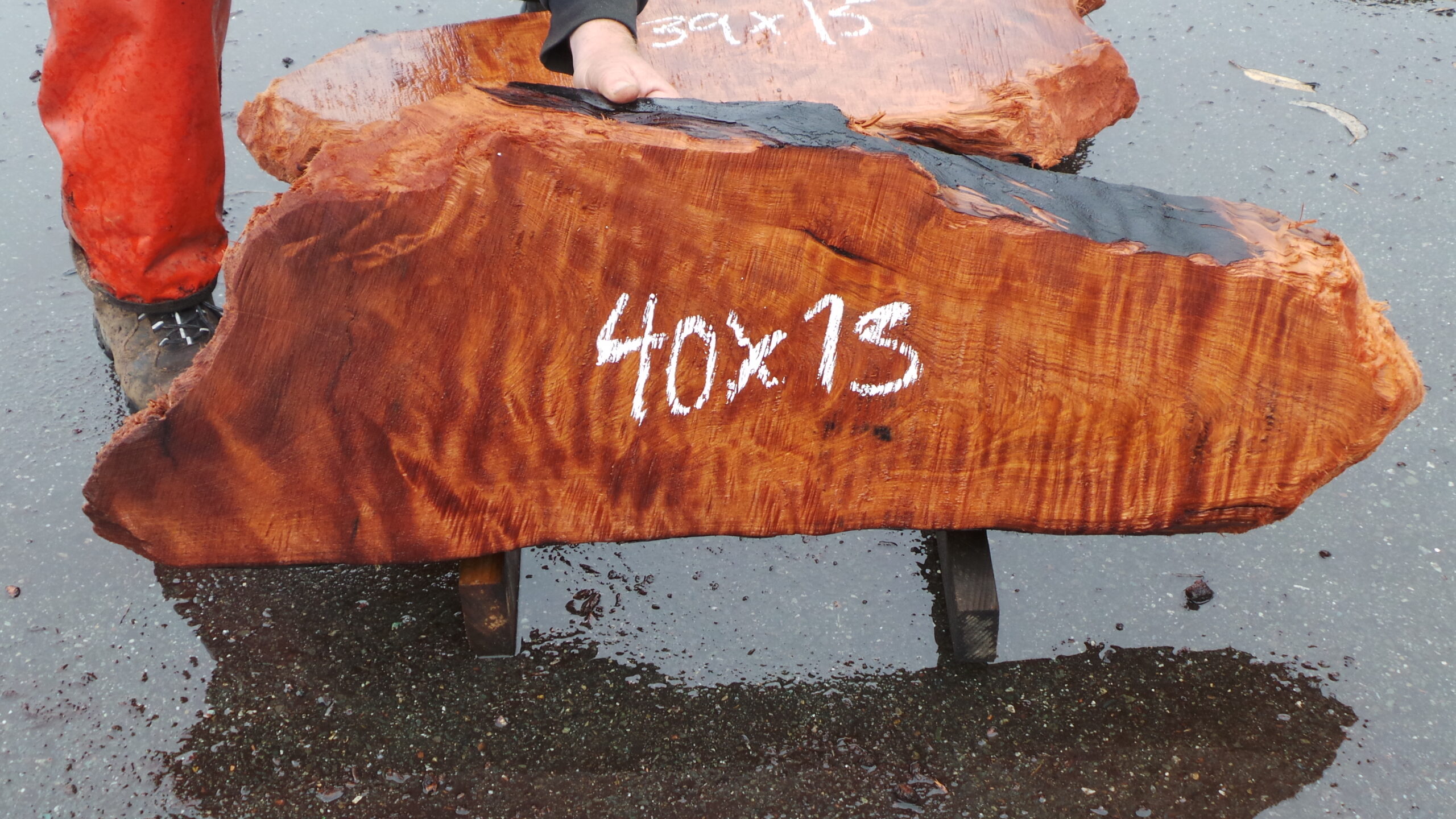 Redwood burl slab measuring 40 inches by 13 inches by 3 inches thick.