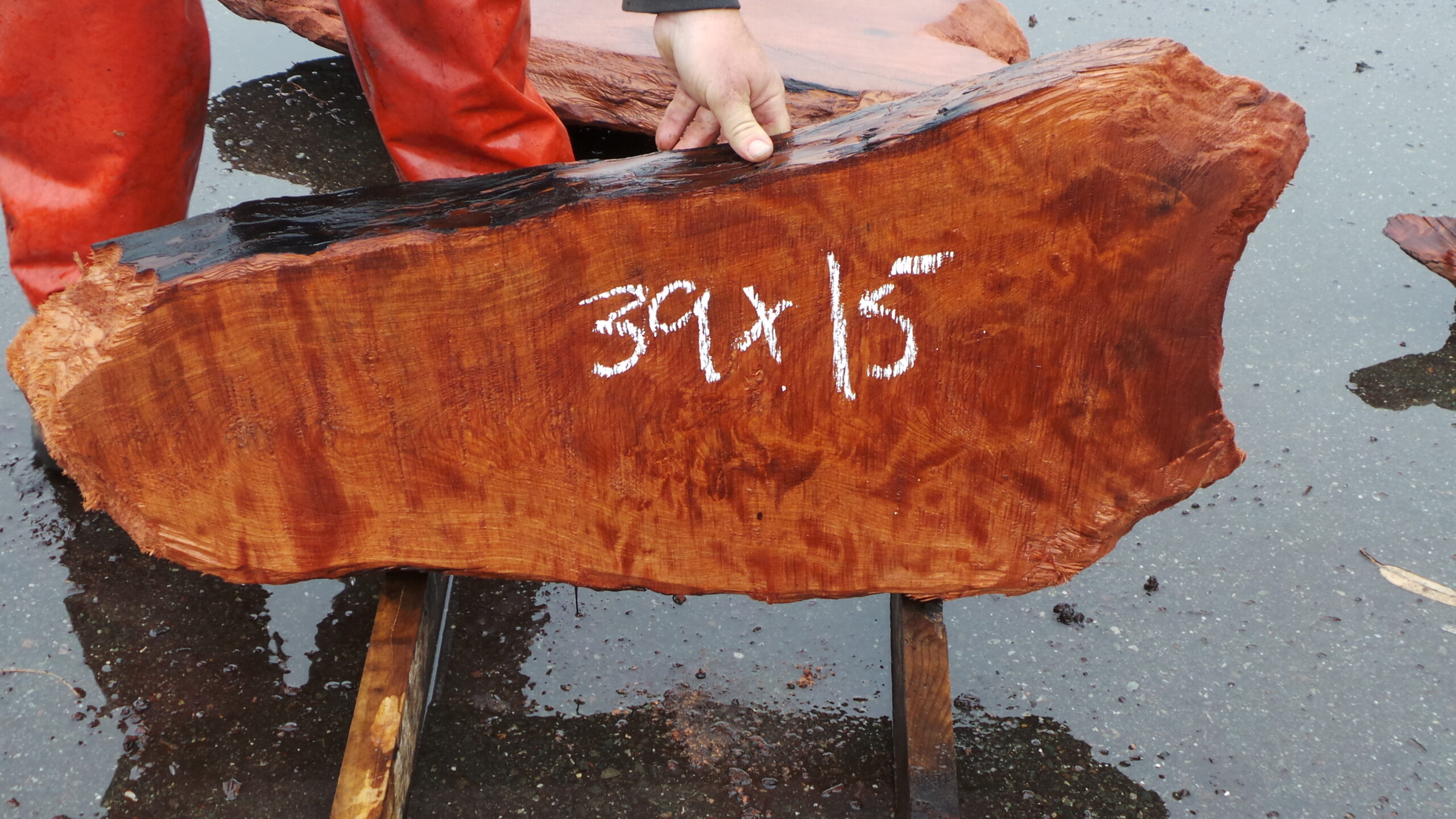 Redwood burl slab measuring 39 inches by 15 inches by 3 inches thick.