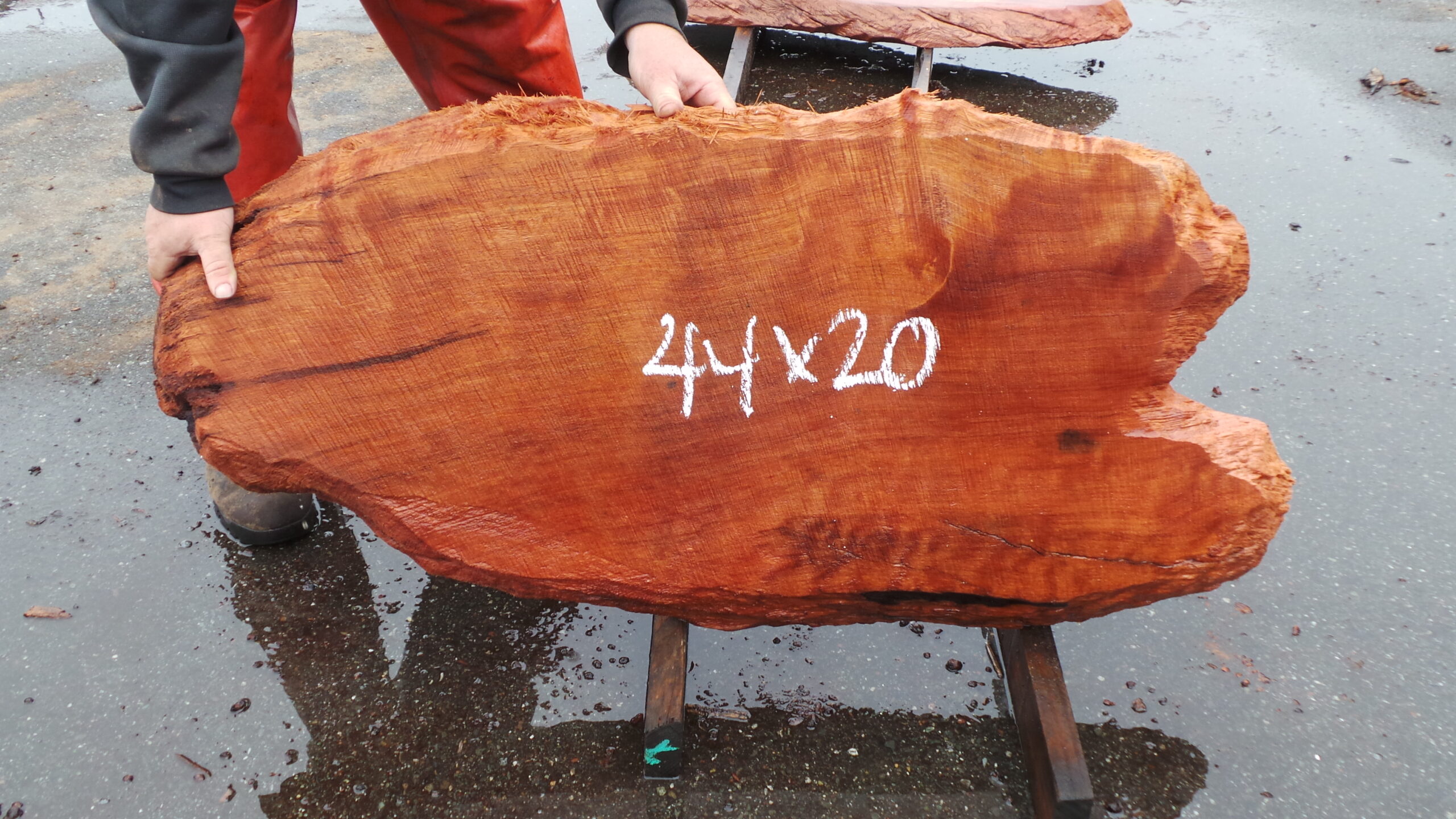 Redwood burl slab measuring 44 inches by 20 inches by 3 inches thick.