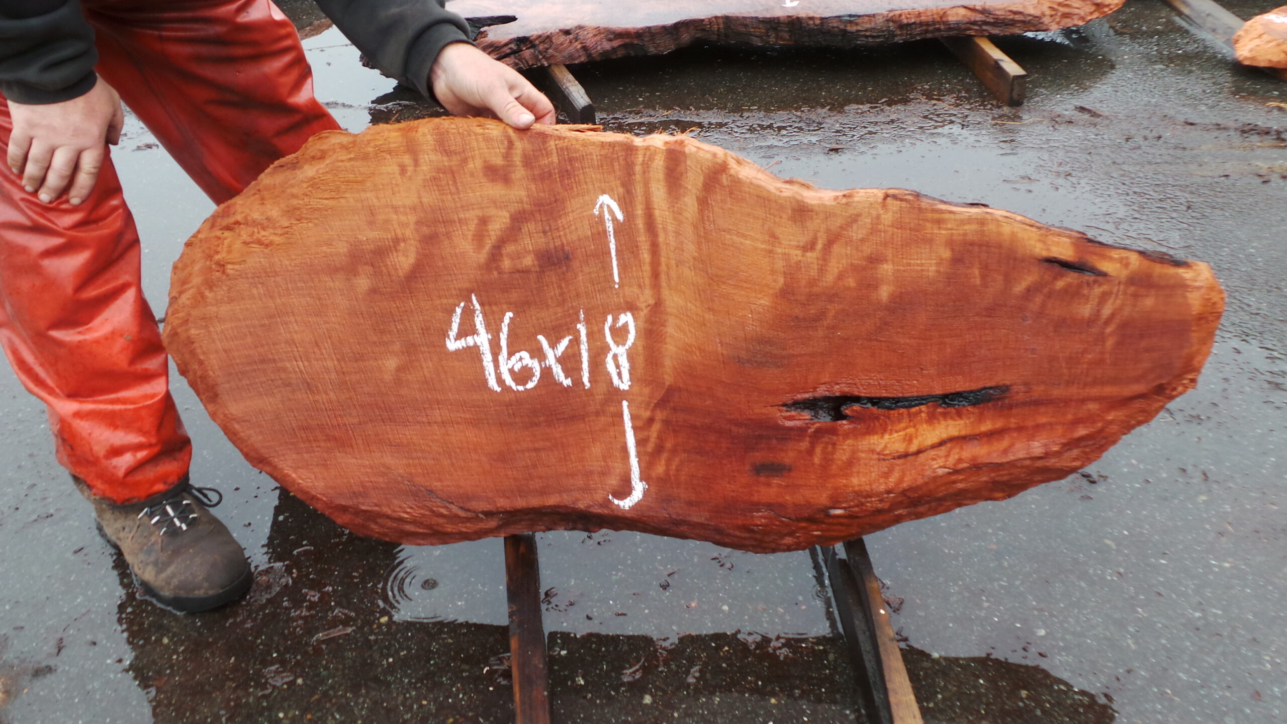 Redwood burl slab measuring 46 inches by 18 inches and 3 inches thick.