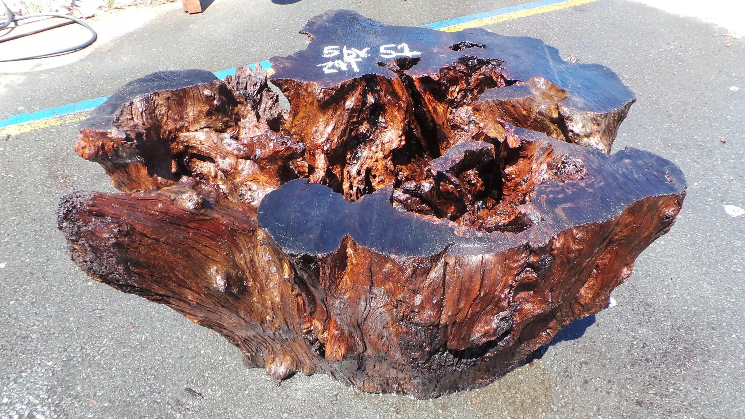 B-333 Rustic Redwood Burl Table Base
