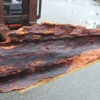 Redwood Log Mantel or Shelf | DIY | ETMS-09L - Image 9