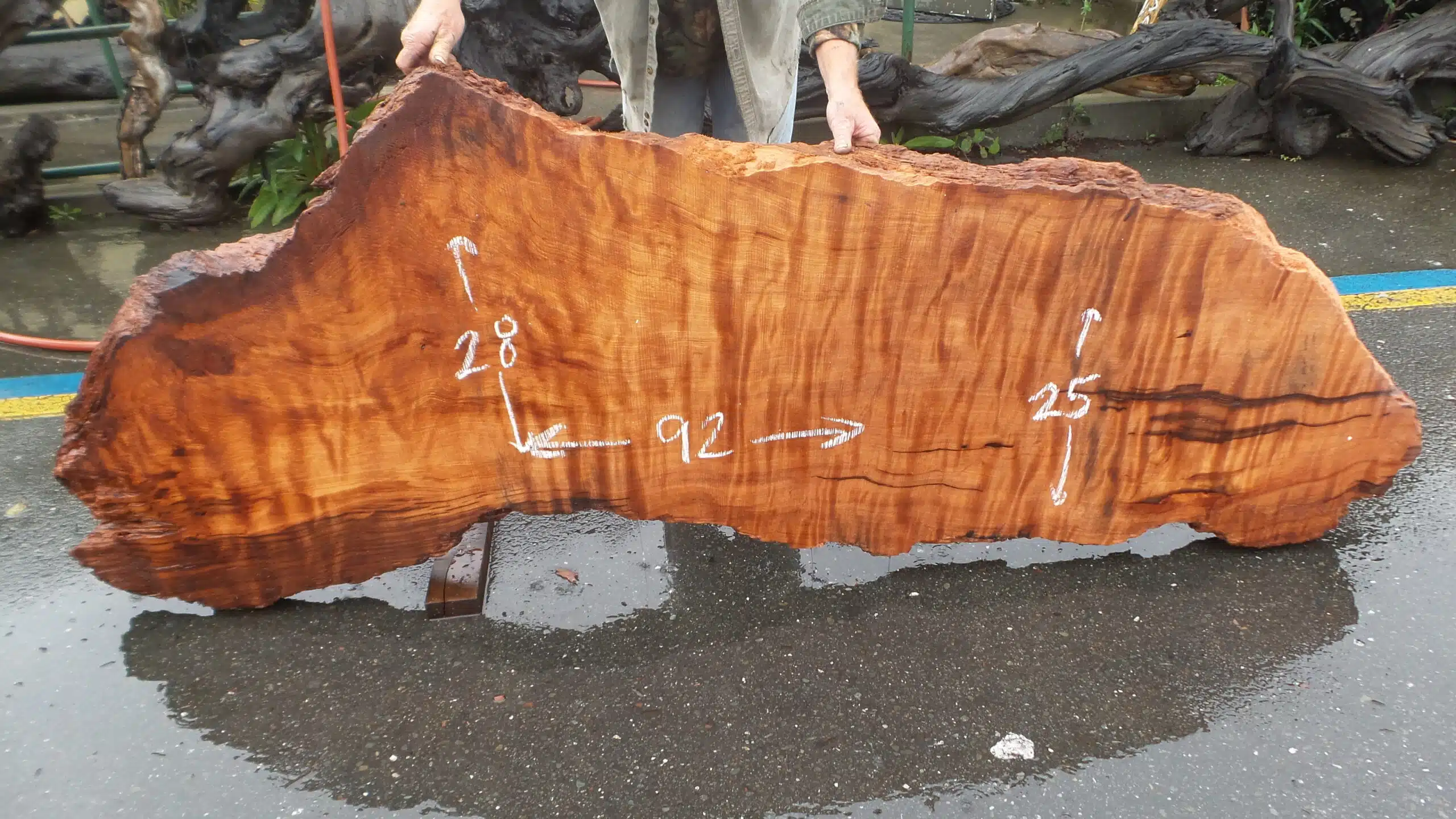 Redwood Burl Desk Slab