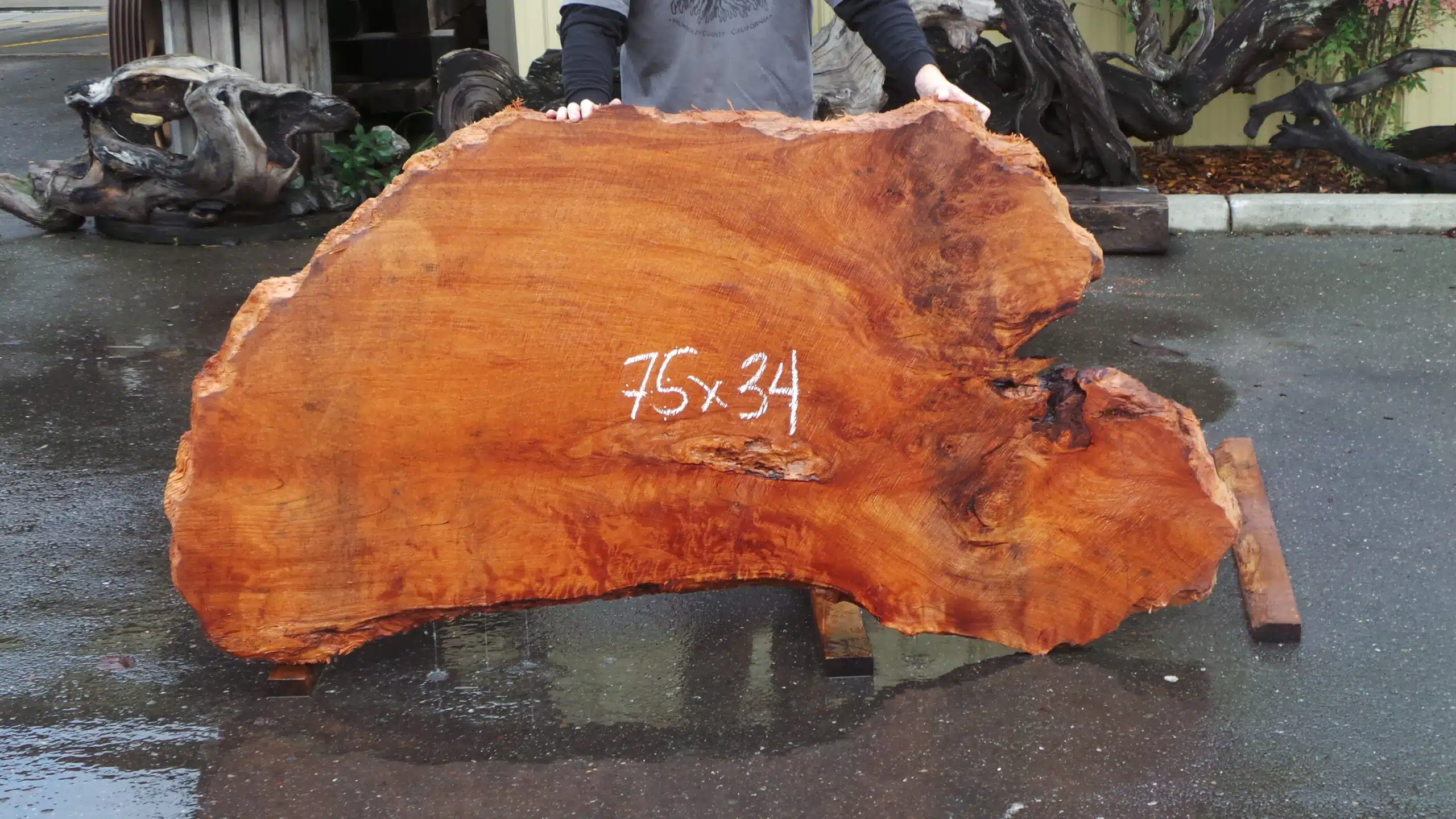 Redwood Burl Desk Slab