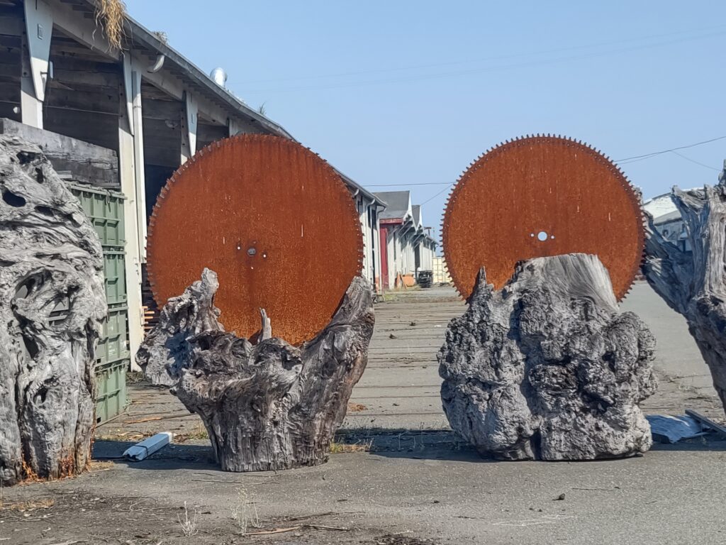 Redwood Burl Landscape Art