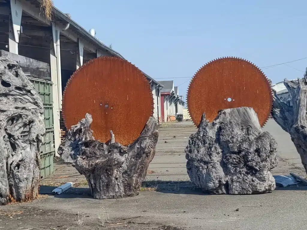 Redwood Burl Landscape Art