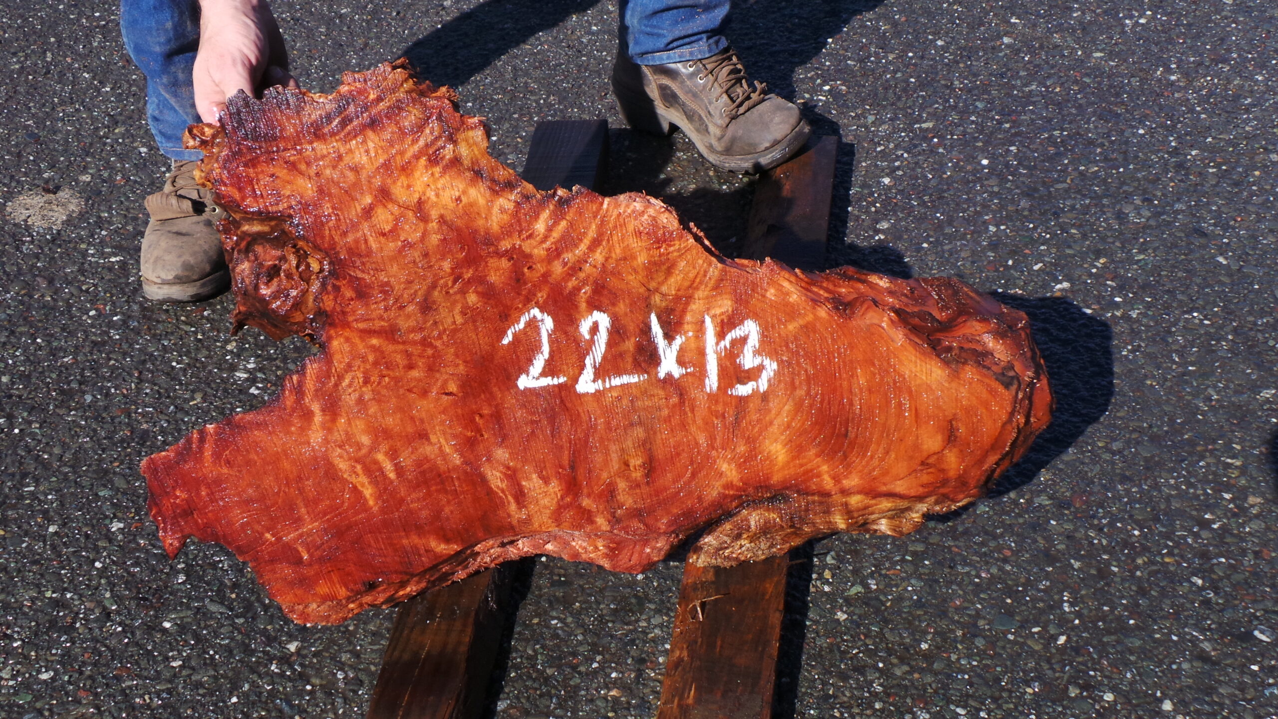 Redwood Burl Live Edge Slab