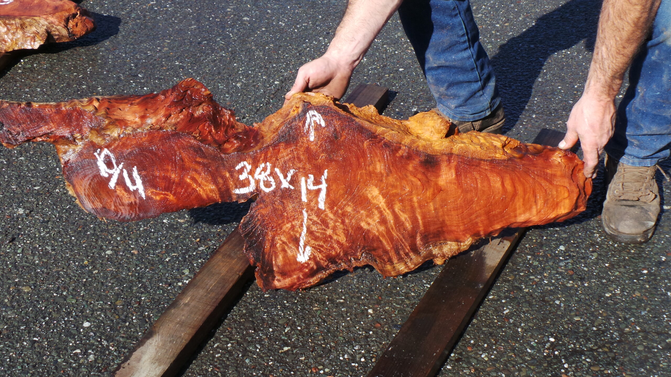 Redwood Burl Live Edge Slab