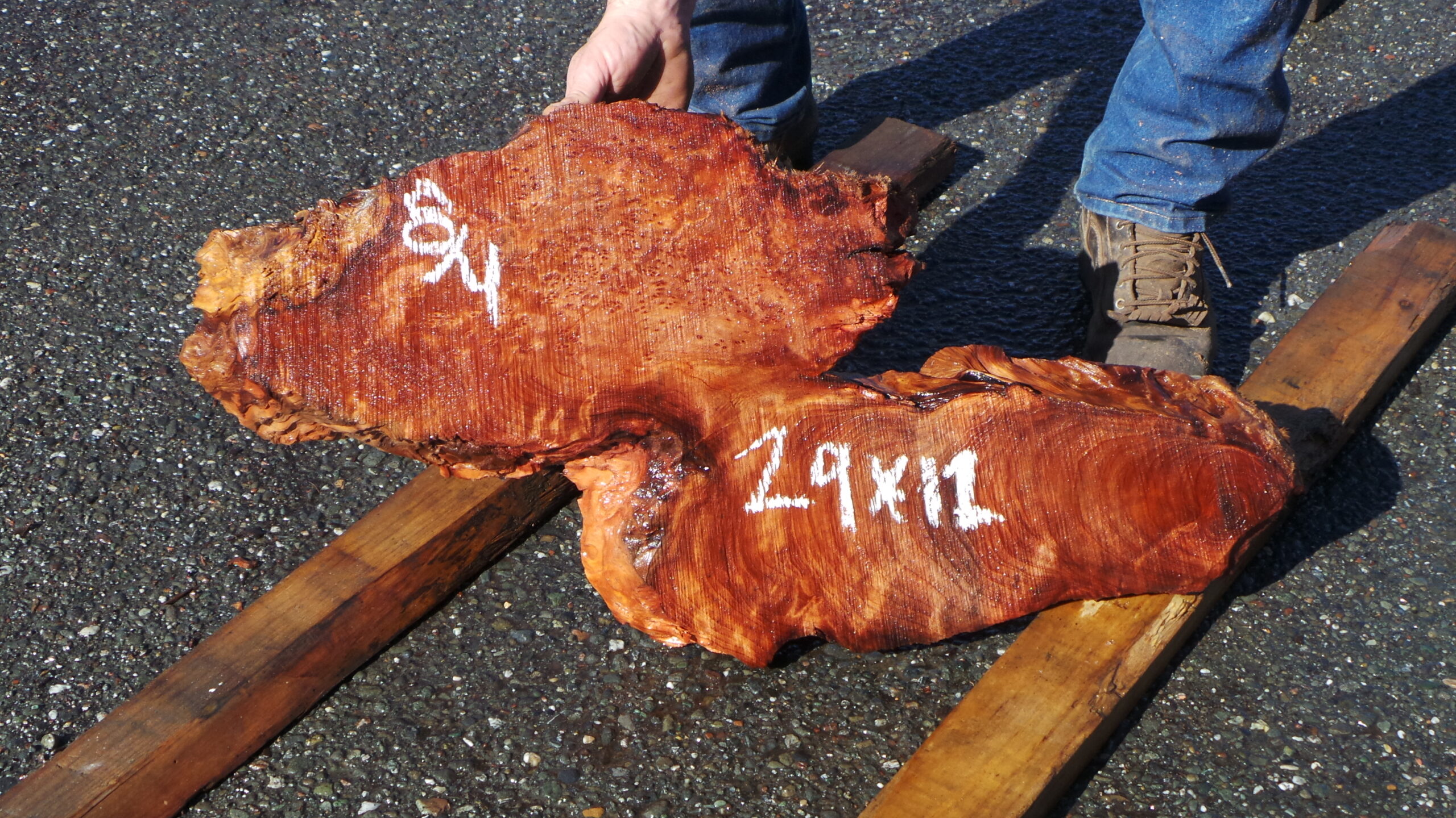 Live Edge Redwood Burl