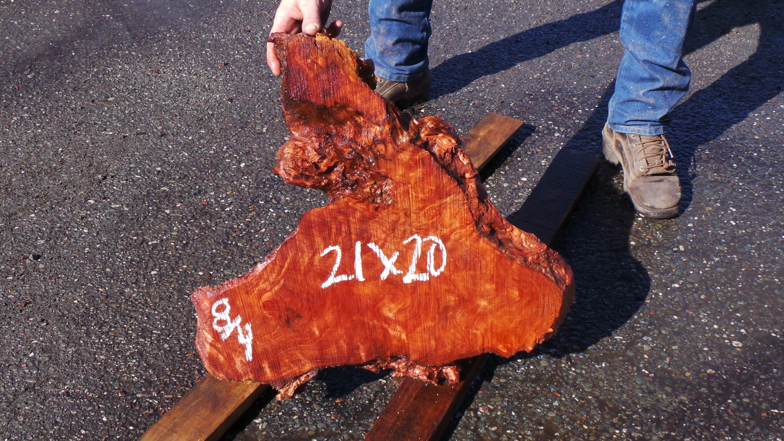 Live Edge Redwood Burl