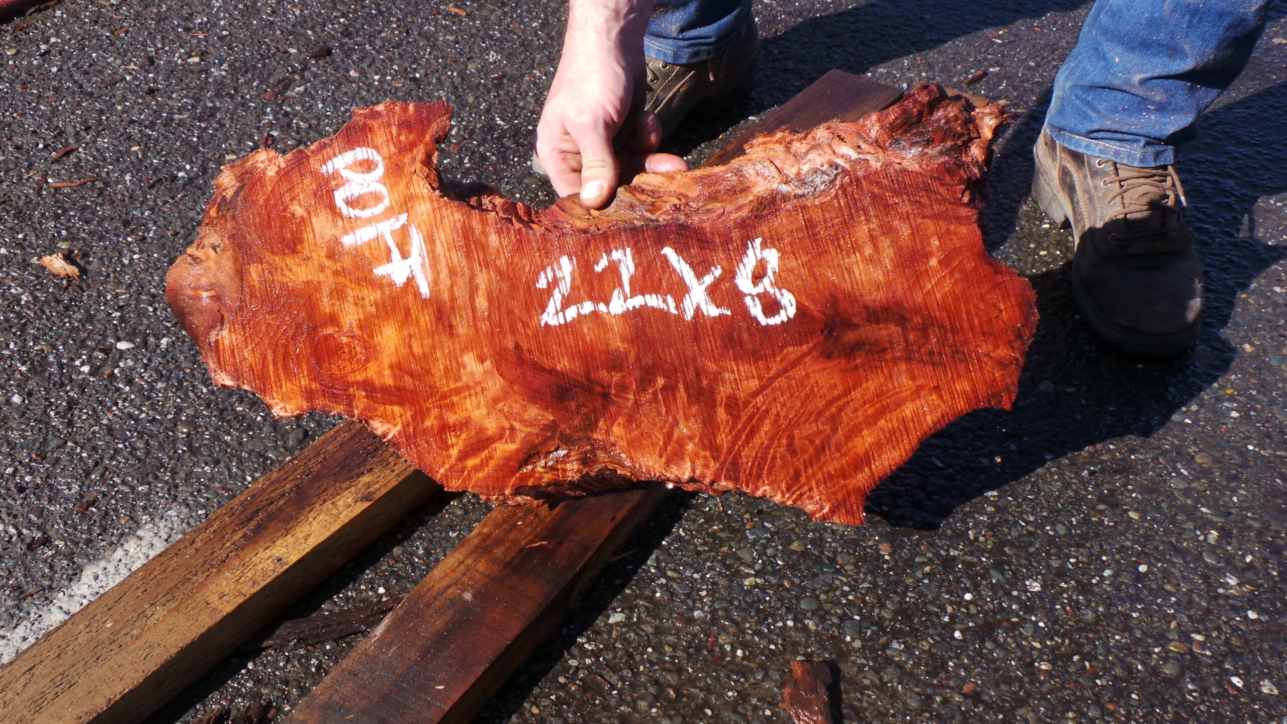 Live Edge Redwood Burl