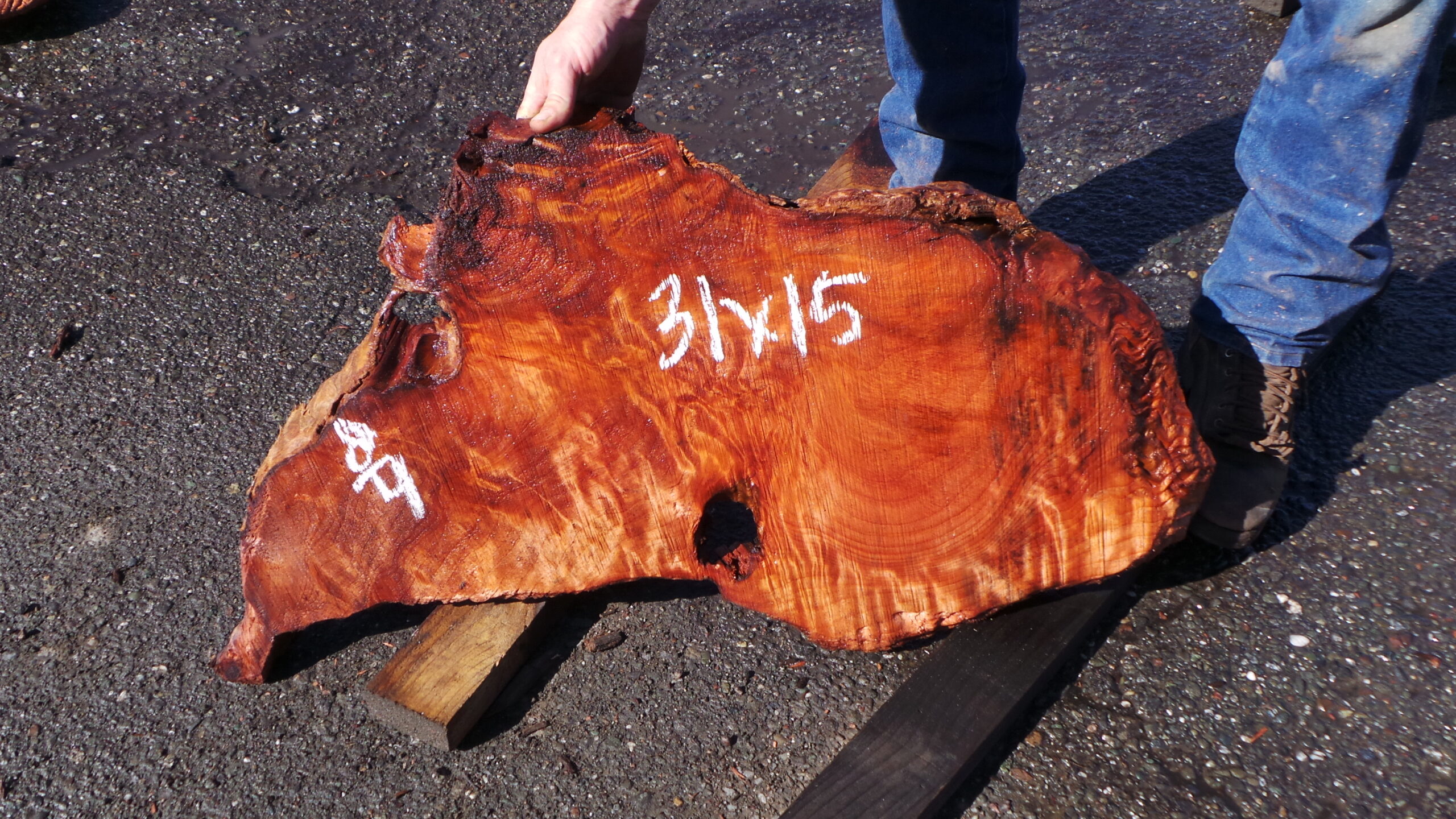 Redwood Burl Live Edge Slab