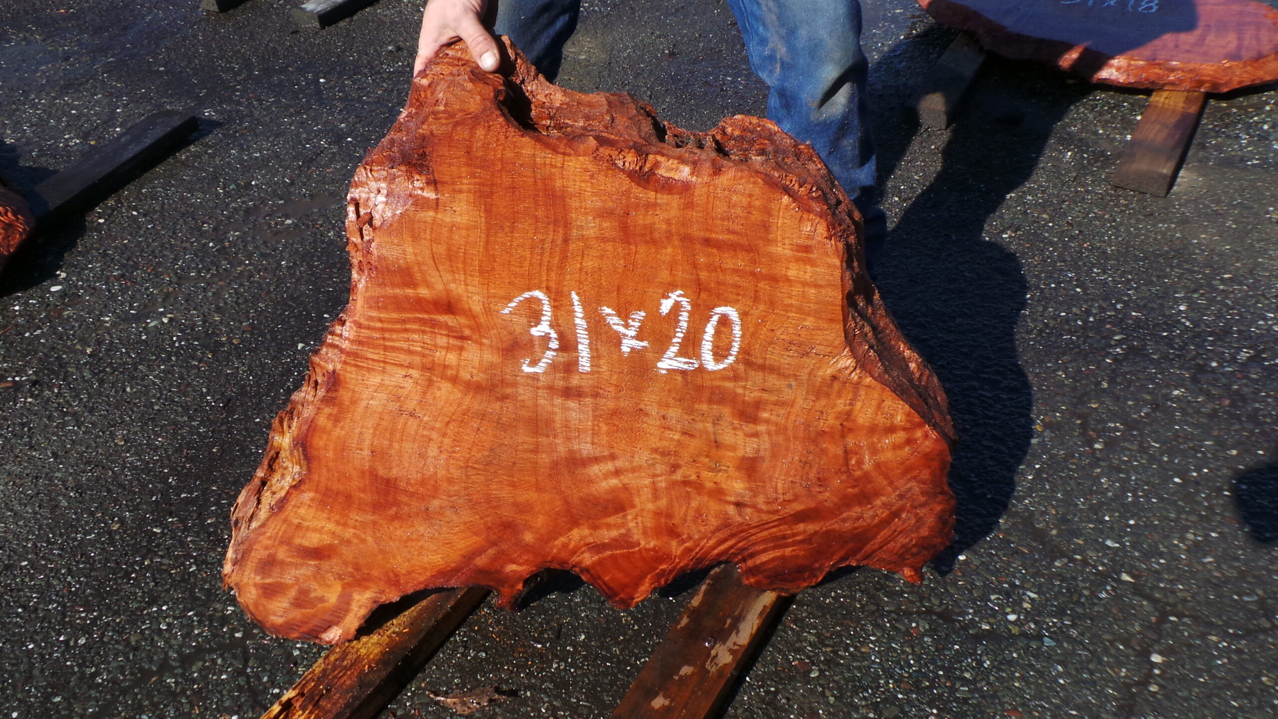 Redwood Burl Live Edge Slab