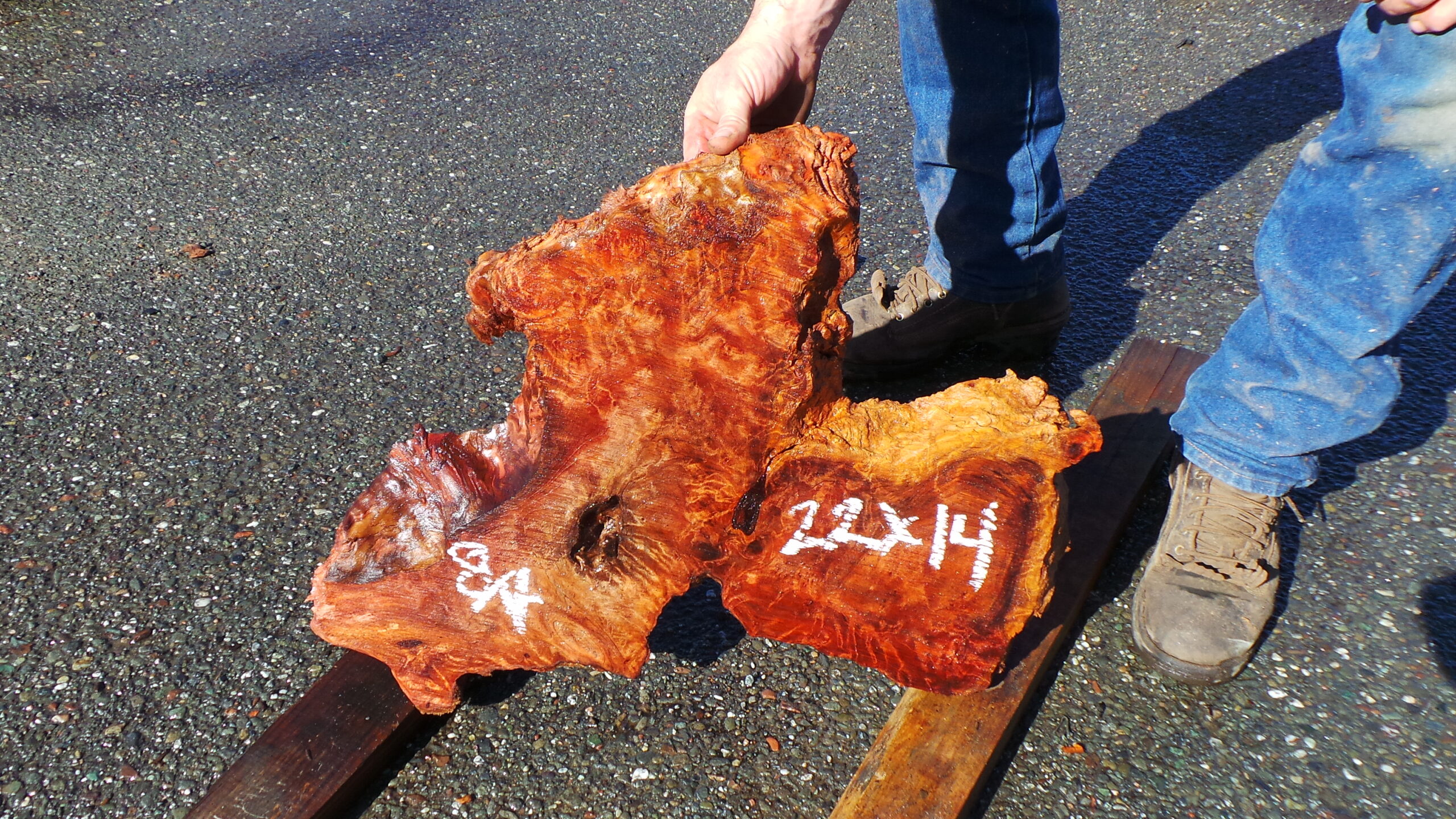 Redwood Burl Live Edge Slab