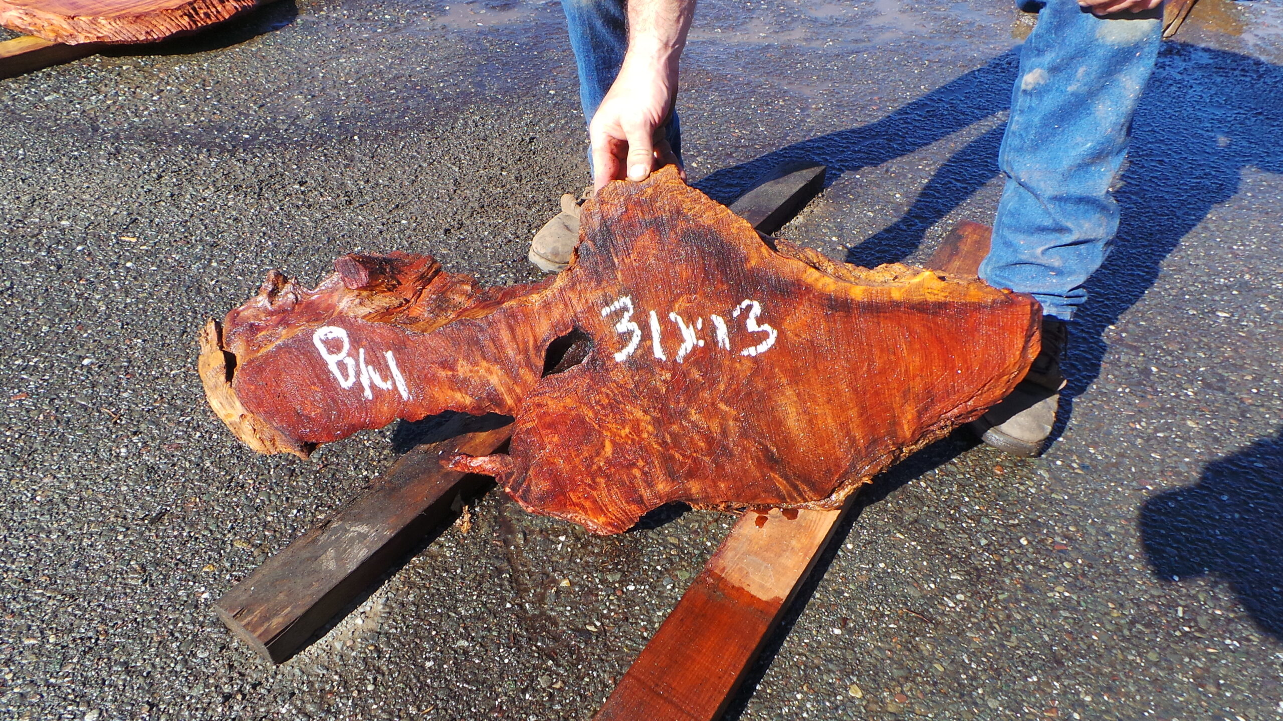 Live Edge Redwood Burl Slab