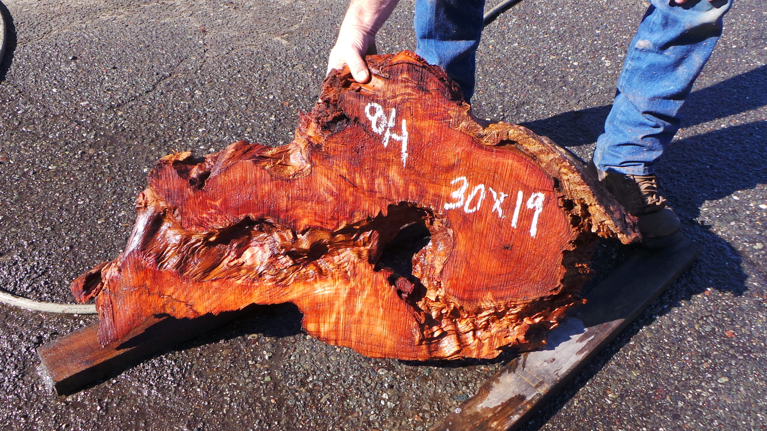 Redwood Burl Live Edge Slab