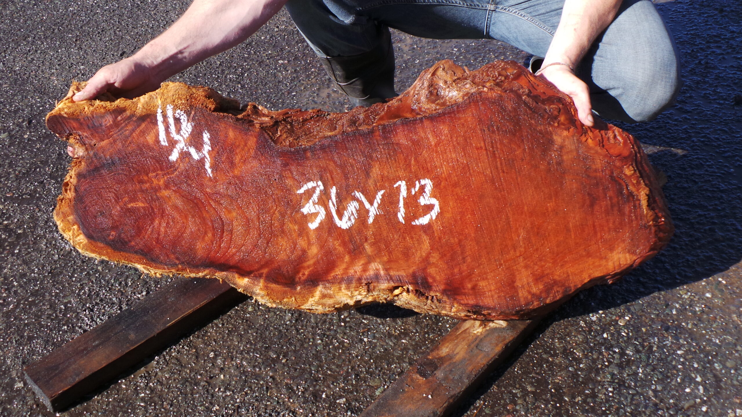 Redwood Burl Live Edge Slab