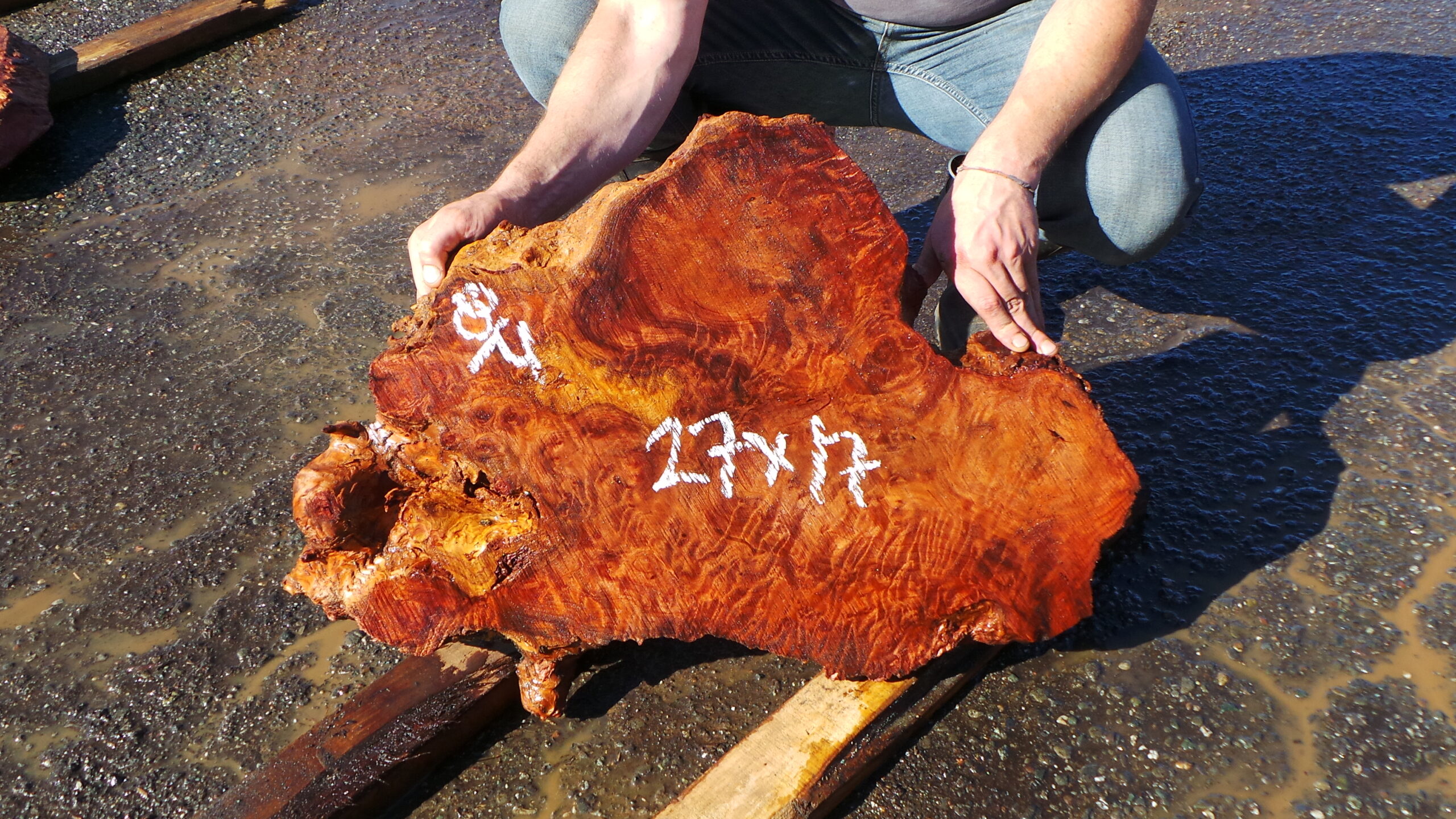Redwood Burl Live Edge Slab