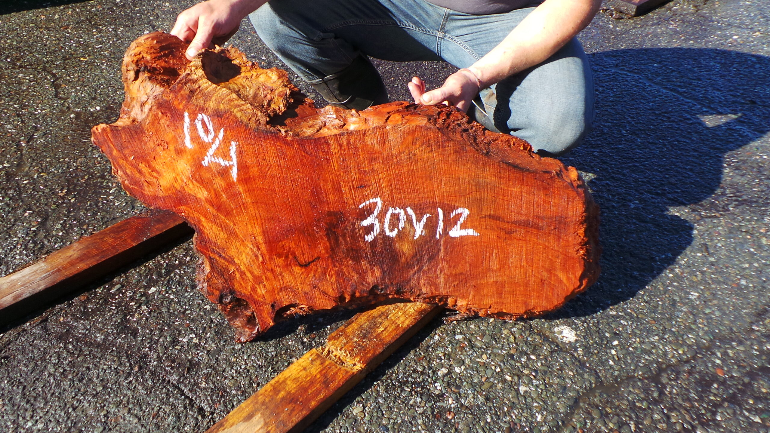 Redwood Burl Live Edge Slab