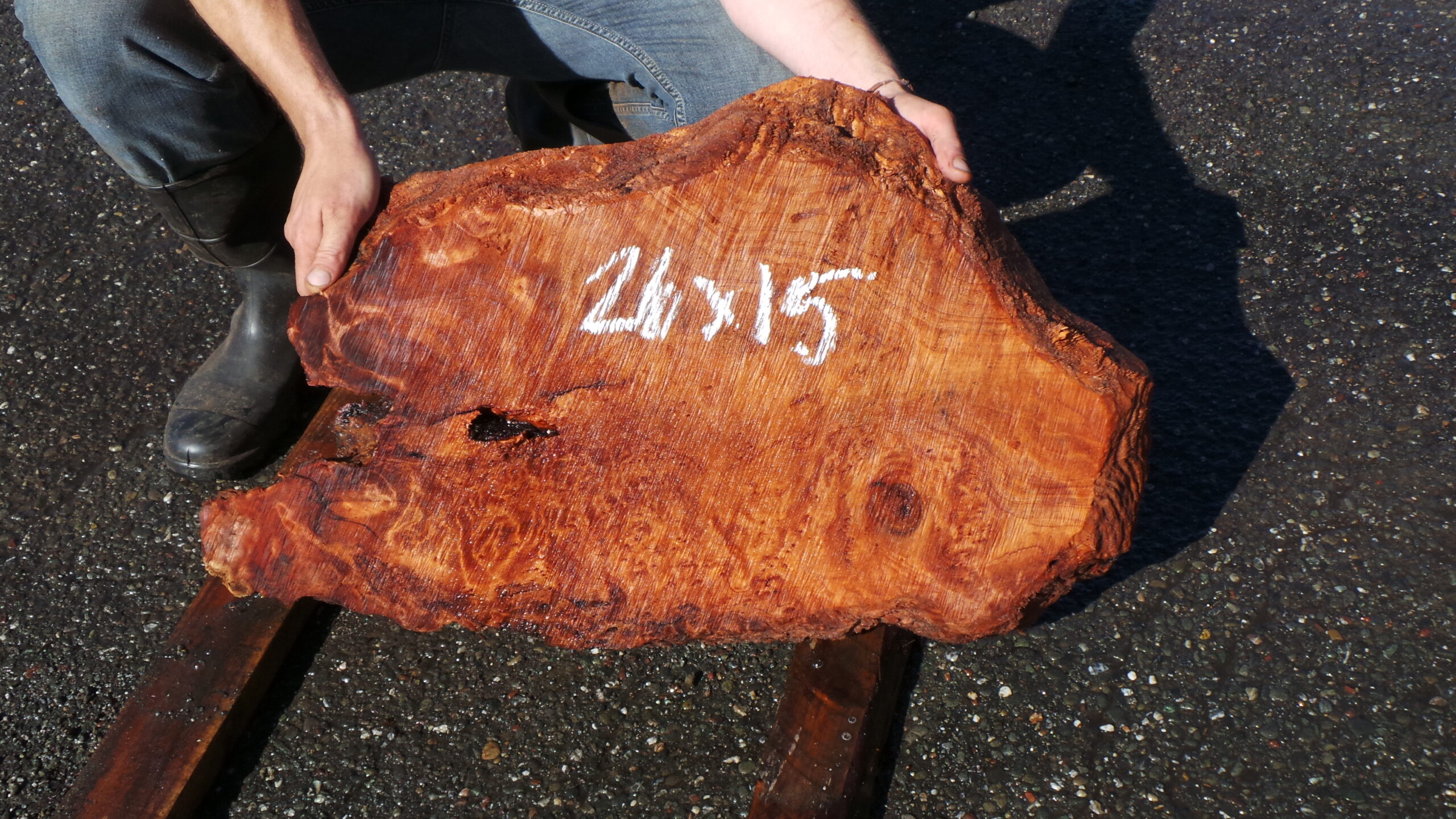 Redwood Burl Live Edge Slab