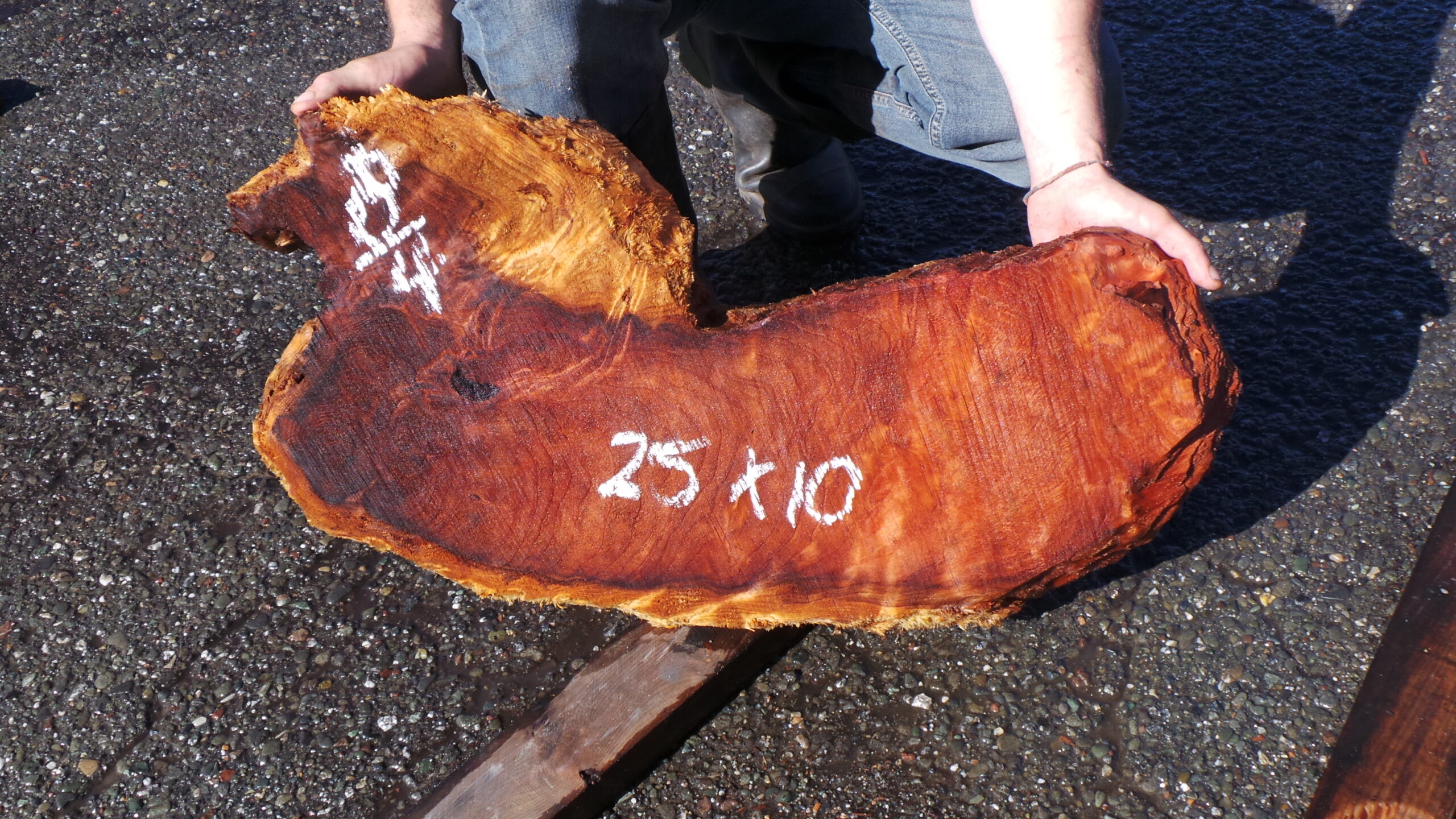 Redwood Burl Live Edge Slab