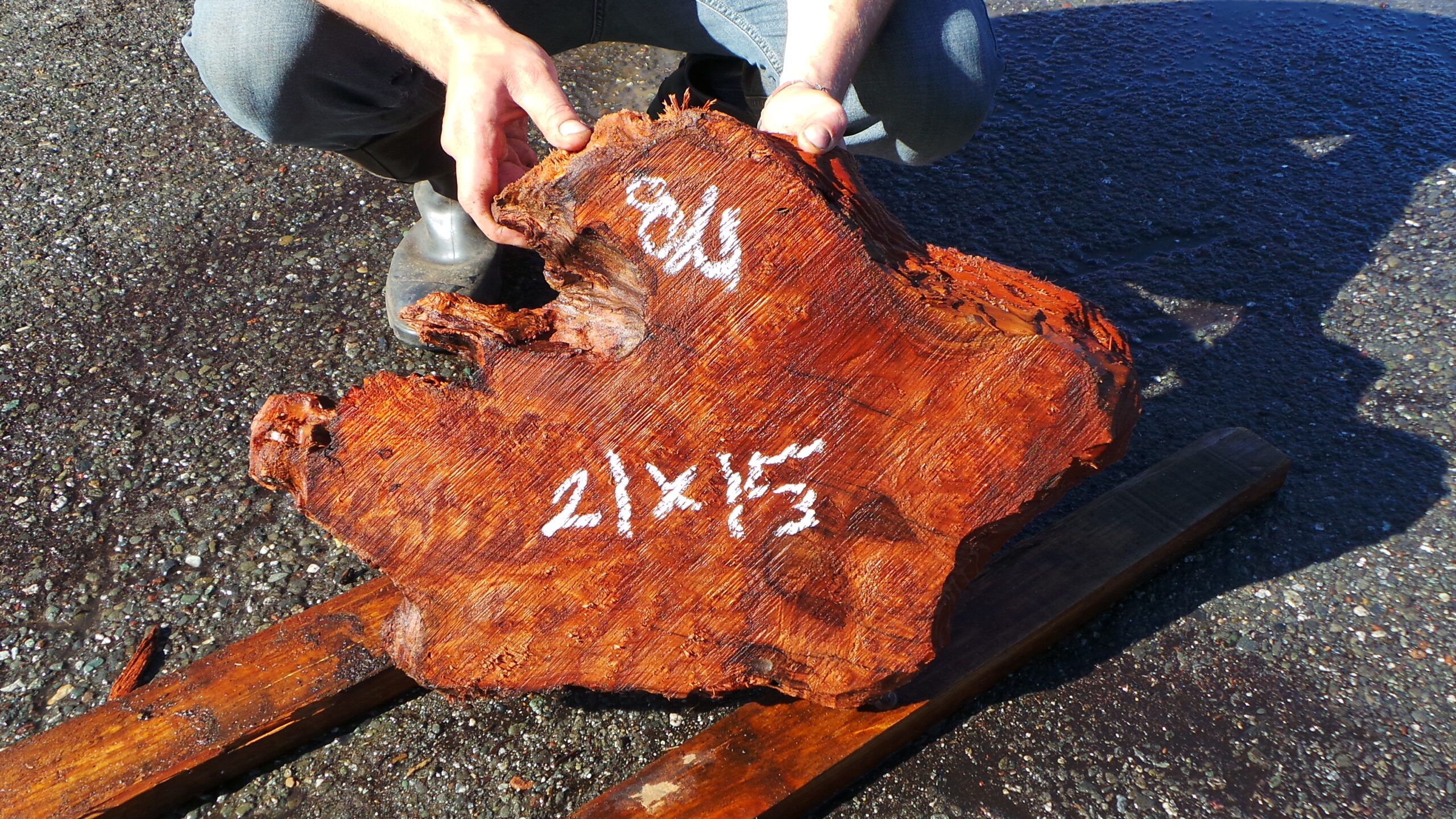 Redwood Burl Live Edge Slab