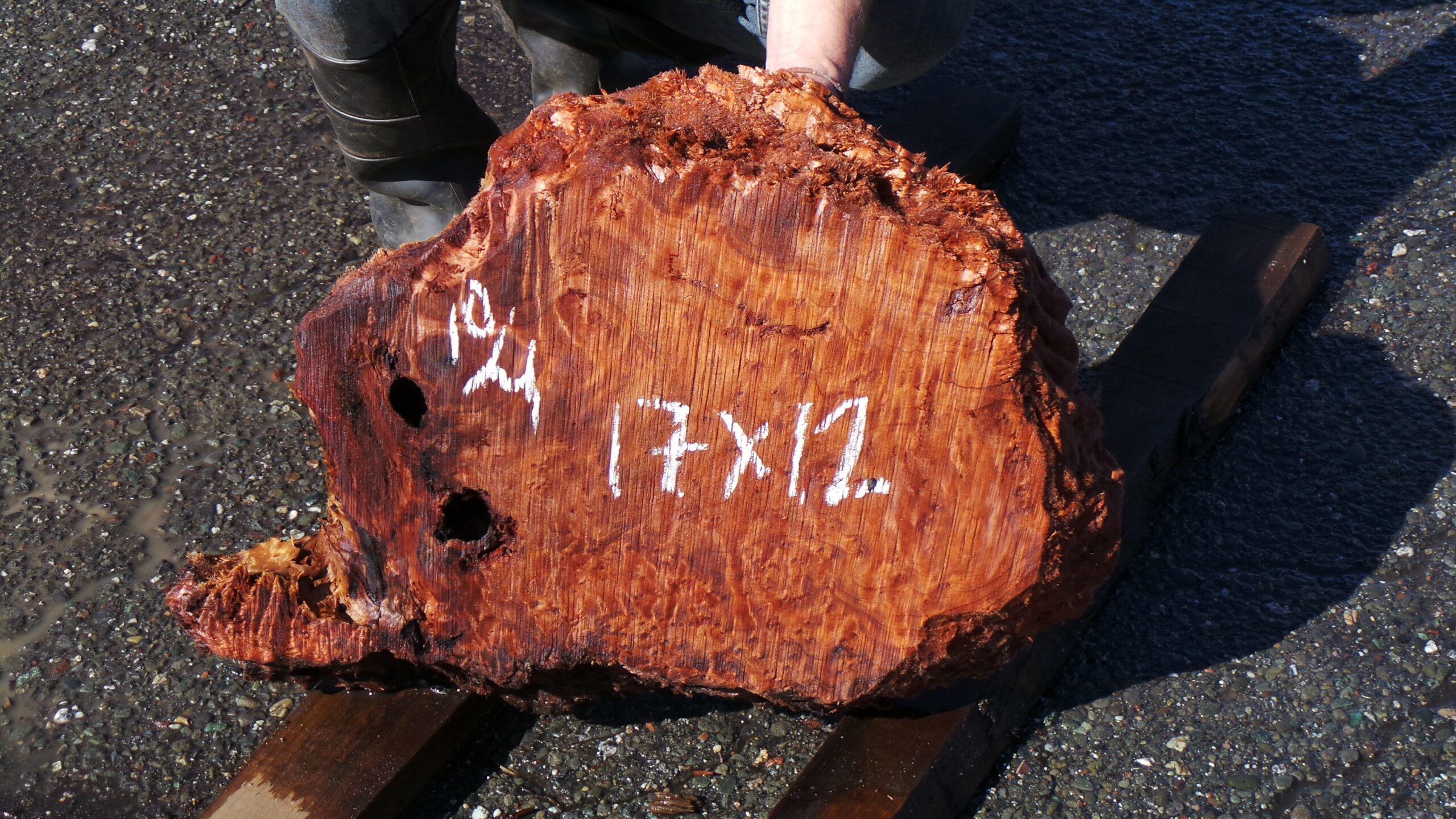 Redwood Burl Live Edge Slab
