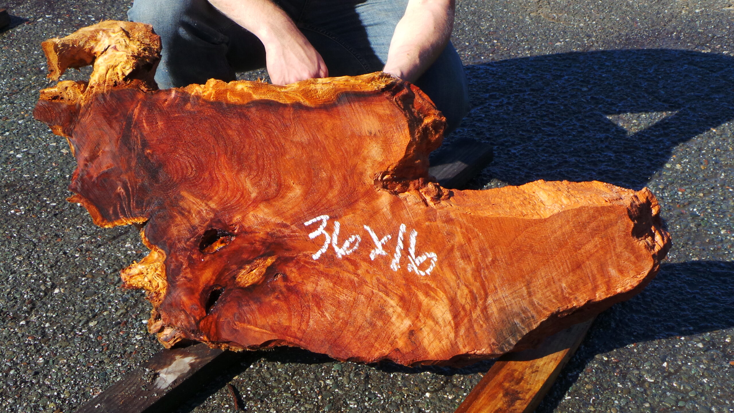 Redwood Burl Live Edge Slab