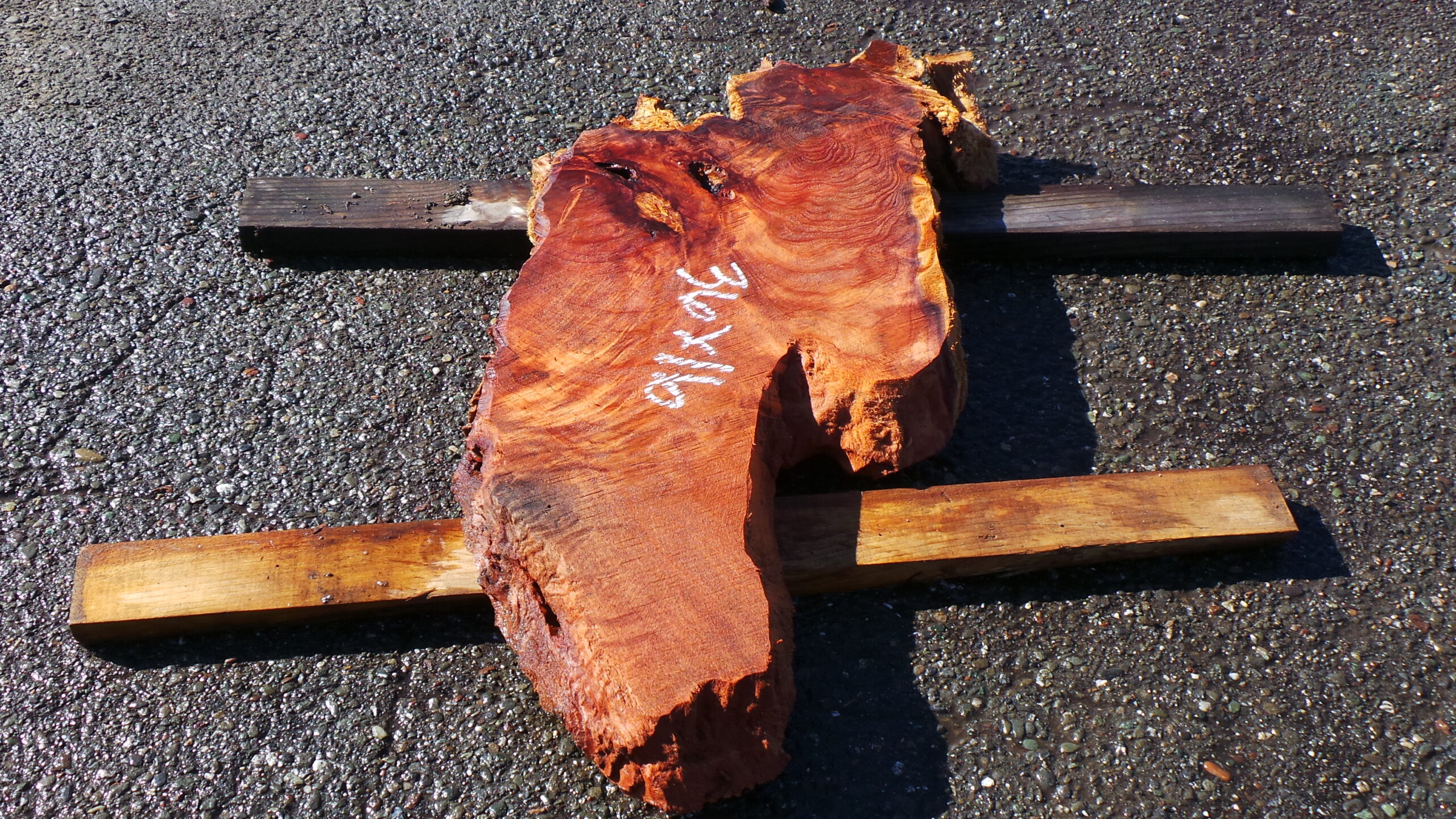 Live Edge Redwood Burl Slab | DIY | ET-60 - Image 2