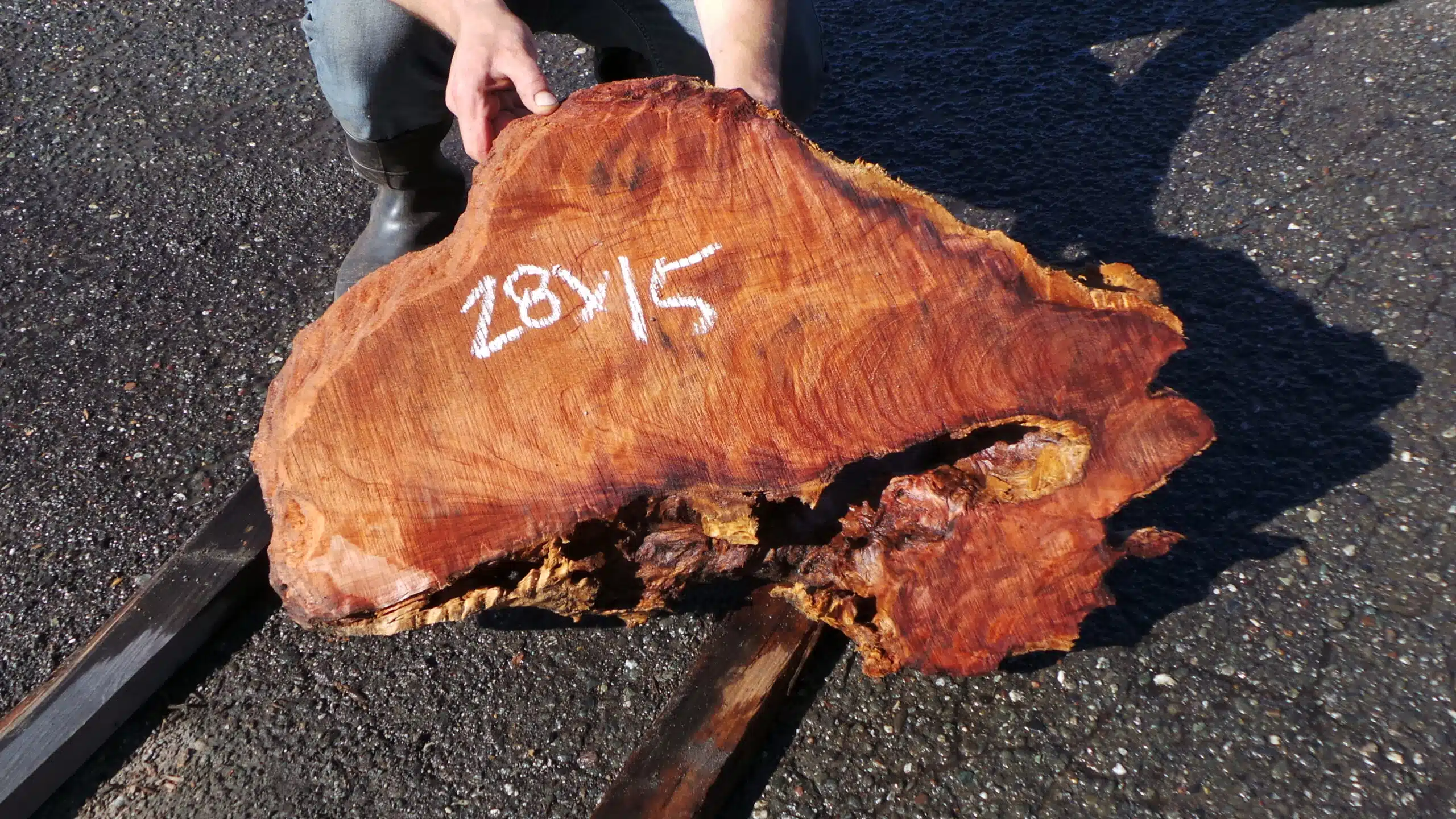 Redwood Burl Live Edge Slab