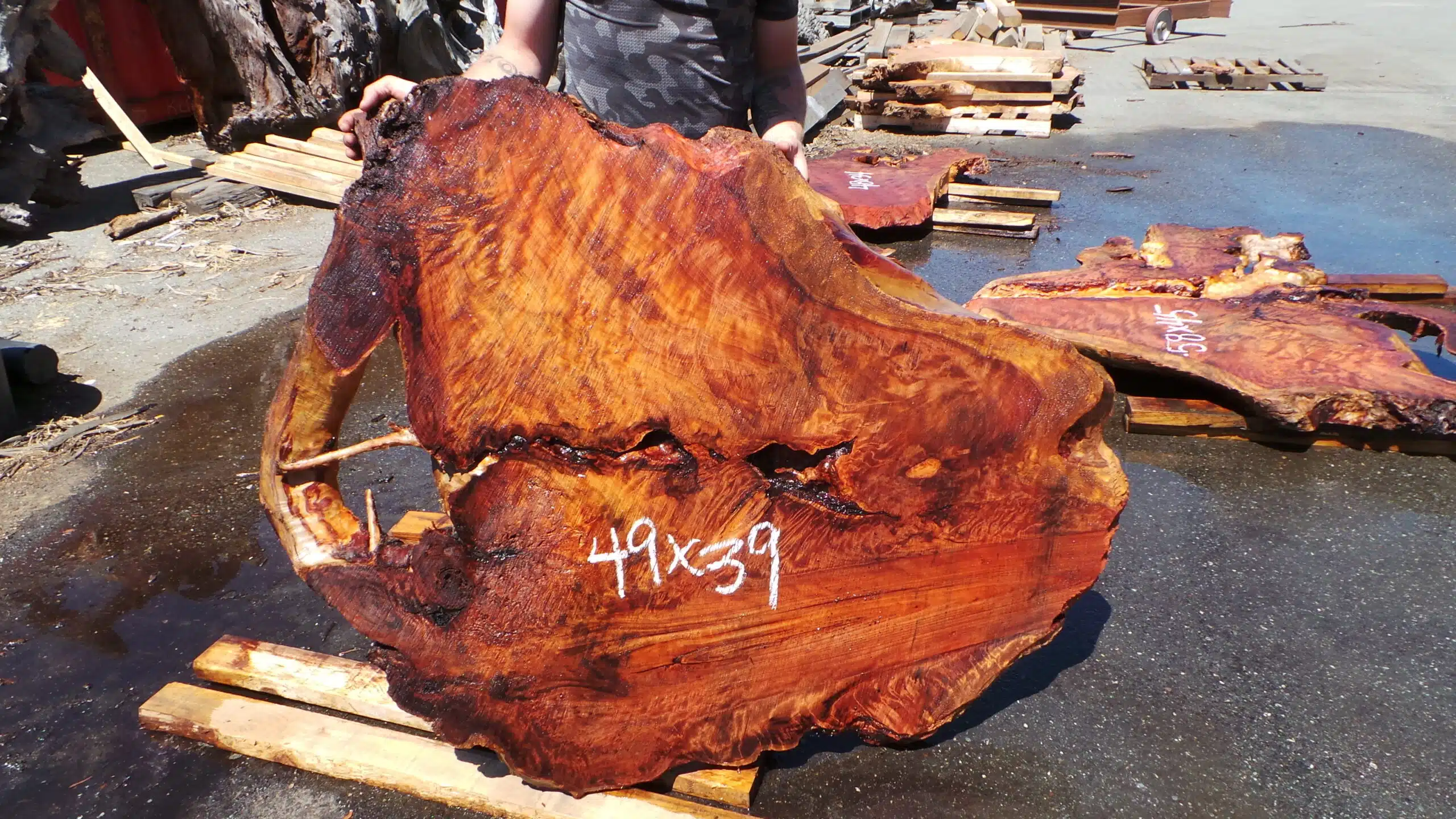 Redwood Burl Live Edge Slab