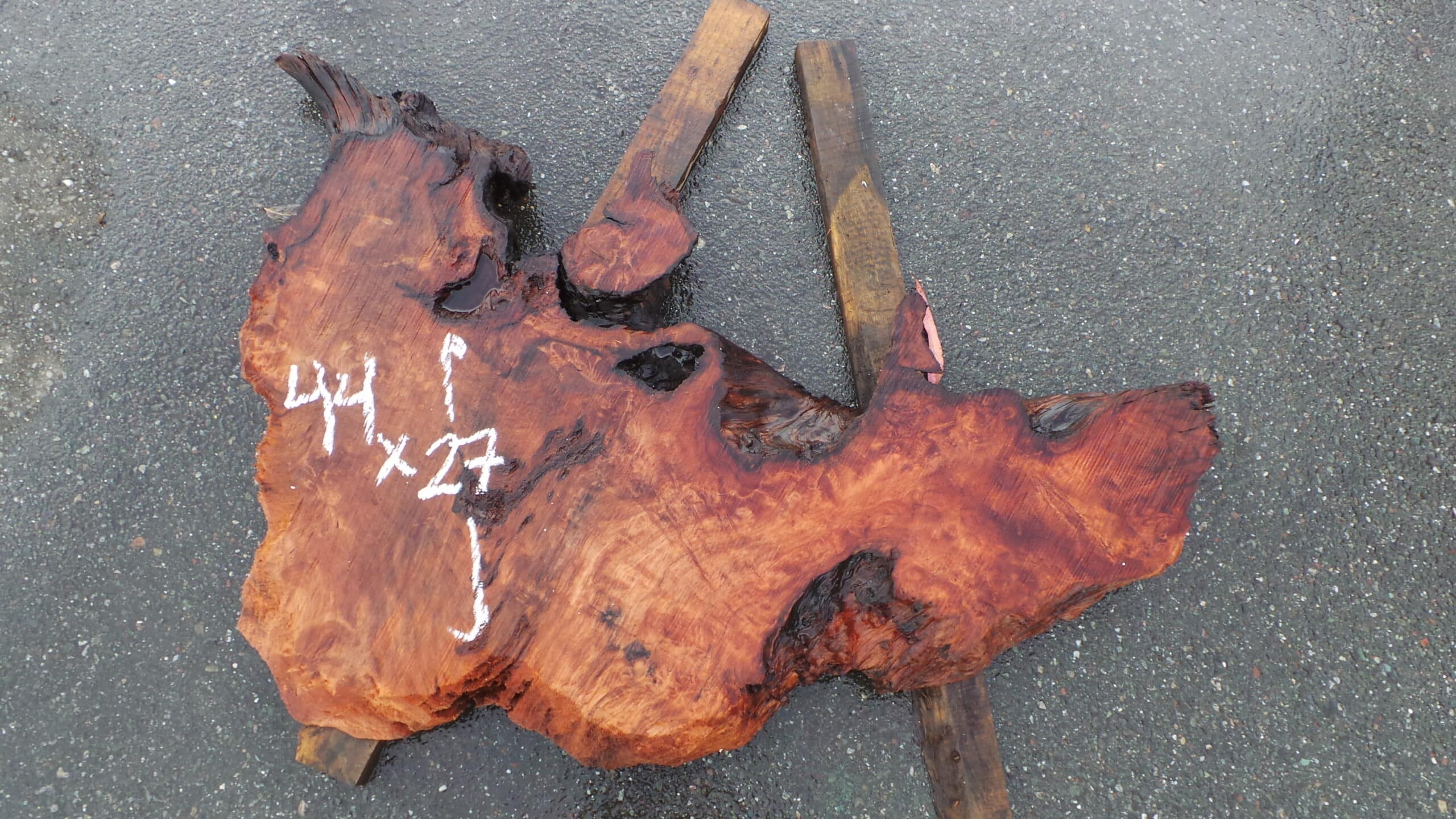 Redwood Burl Live Edge Slab